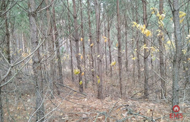 Działka idealna na domek.