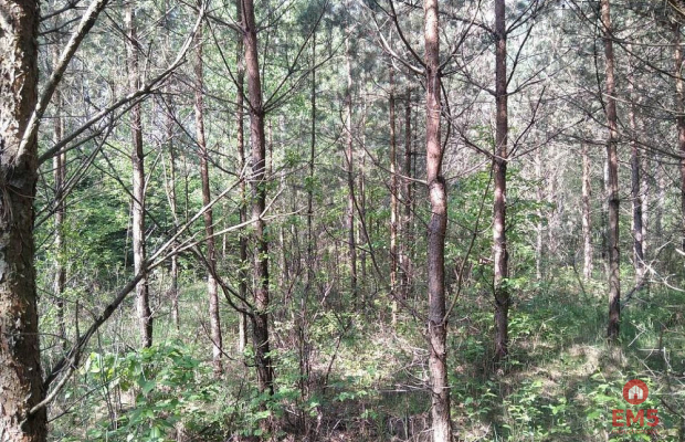 Działka idealna na domek.