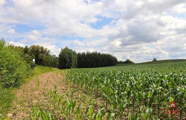 Działka budowlana na Mazurach Rożyńsk Wielki