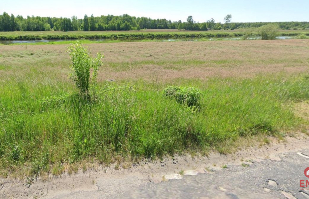 Działka rekreacyjna nad Narwią