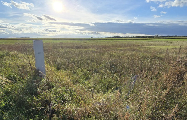 Działak budowlana blisko Narwi.