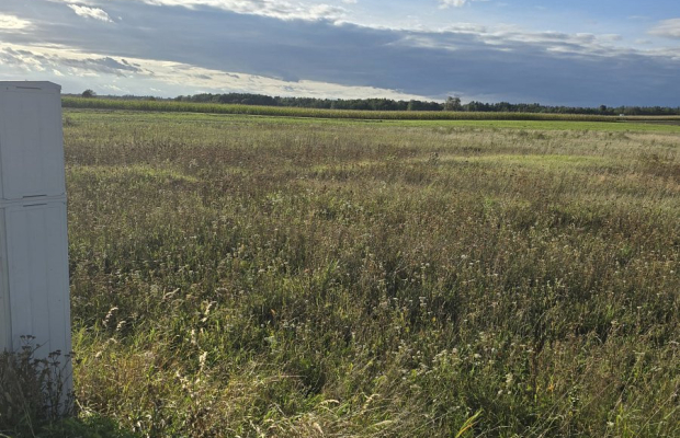 Działak budowlana blisko Narwi.
