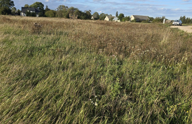 Działak budowlana blisko Narwi.