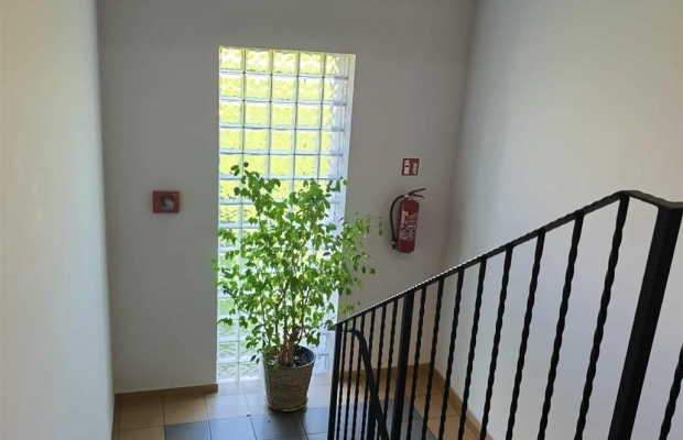 Mieszkanie z ogródkiem na os.Obrońców Pokoju 