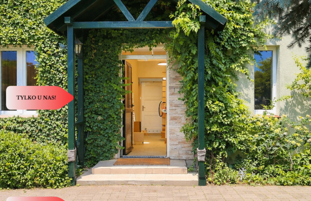 Dom i kawalerka z ogrodem. Aleksandrów Kujawski