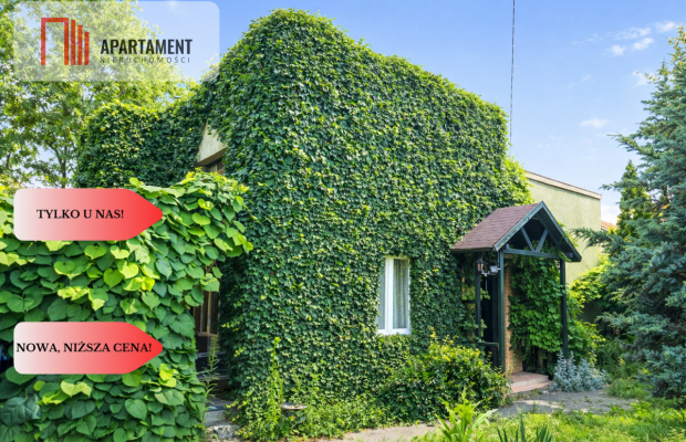 Dom i kawalerka z ogrodem. Aleksandrów Kujawski