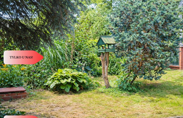 Dom i kawalerka z ogrodem. Aleksandrów Kujawski