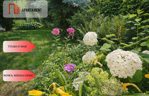 Dom i kawalerka z ogrodem. Aleksandrów Kujawski