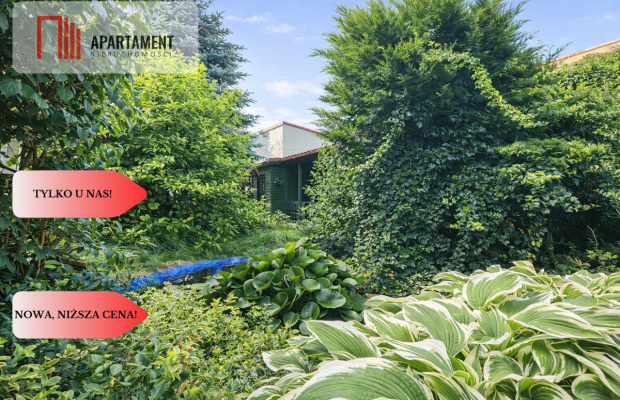 Dom i kawalerka z ogrodem. Aleksandrów Kujawski