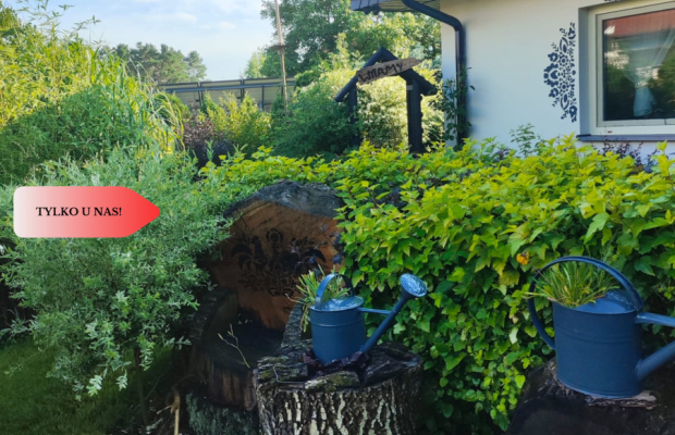 Dom wolnostojący, 3 sypialnie, cisza, spokój