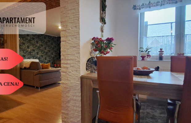 Bory Tucholskie! Uroczy domek, jezioro, lasy