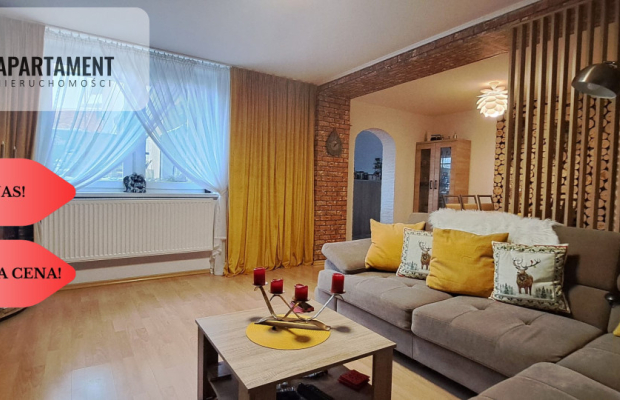 Bory Tucholskie! Uroczy domek, jezioro, lasy