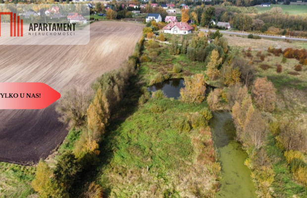 Duży dom z potencjałem na motel,2 ha działki, staw