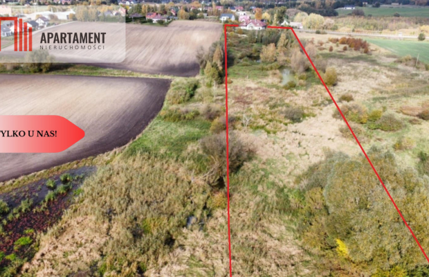 Duży dom z potencjałem na motel,2 ha działki, staw