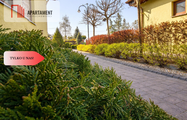 Dom + hale + biuro | idealne pod działalność