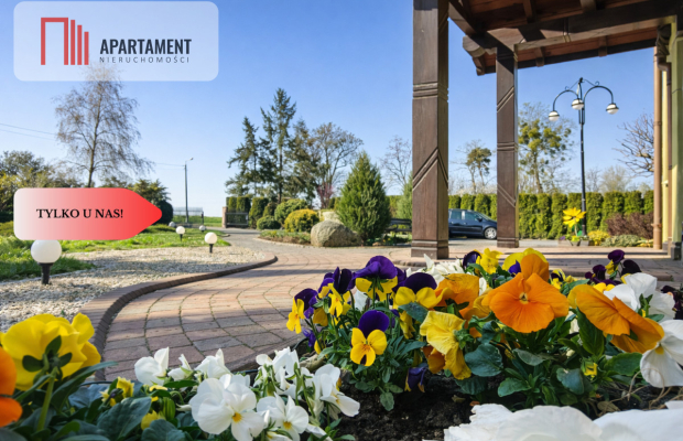 Dom + hale + biuro | idealne pod działalność