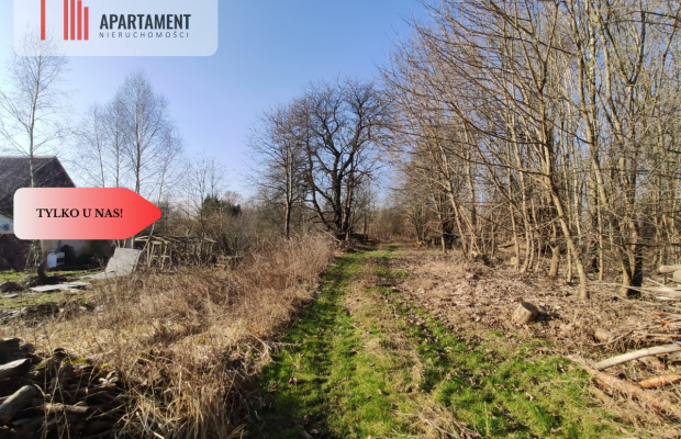 TYLKO U NAS! DOM DO REMONTU Z DUŻĄ DZIAŁKĄ!