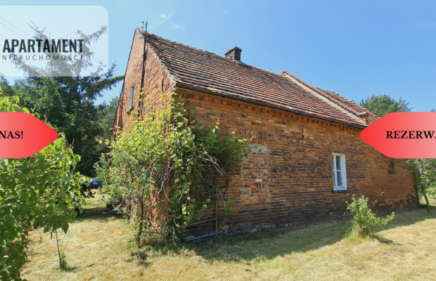 Wolnostojący dom pod lasem/rezerwacja