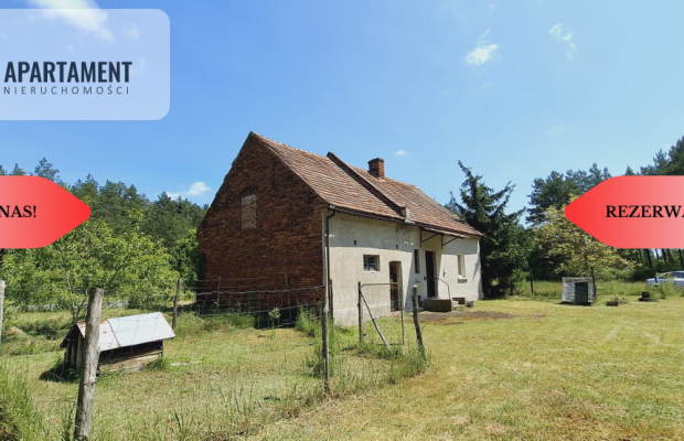 Wolnostojący dom pod lasem/rezerwacja