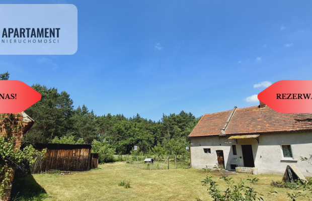 Wolnostojący dom pod lasem/rezerwacja