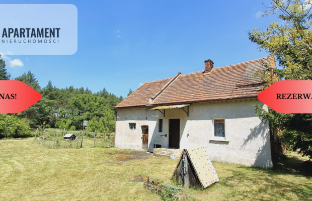 Wolnostojący dom pod lasem/rezerwacja