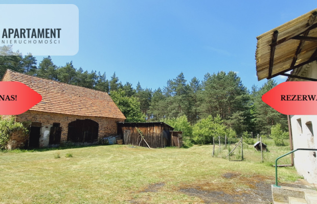 Wolnostojący dom pod lasem/rezerwacja