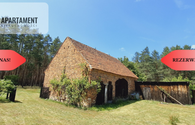 Wolnostojący dom pod lasem/rezerwacja