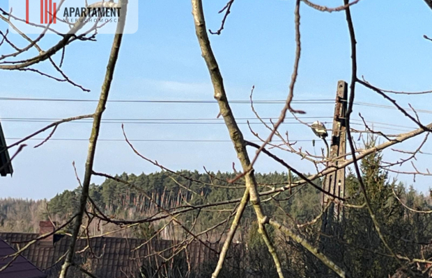 Magiczny dom dla wybranych , Żelichowo