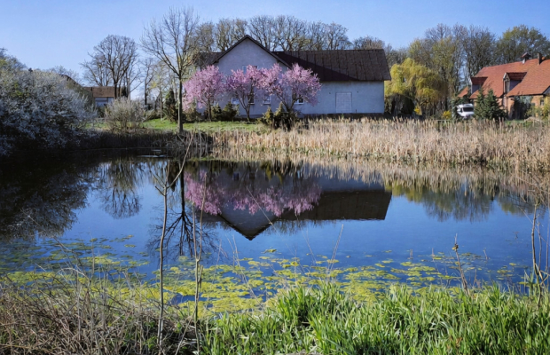Przestronny dom z działką 6500 mk w gminie Unisław