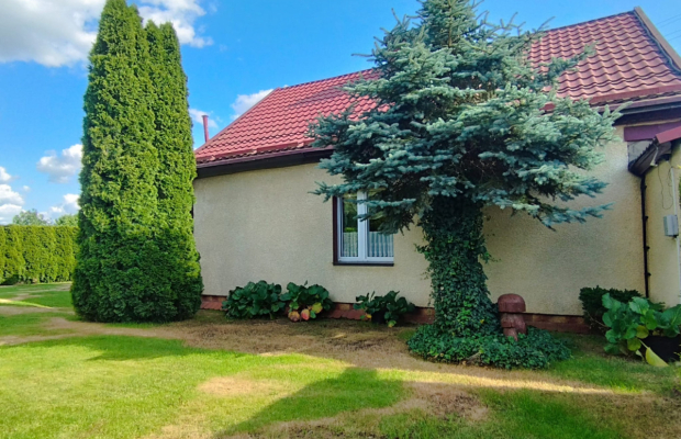 Duża działka 2500 mkw, dom z zapleczem.