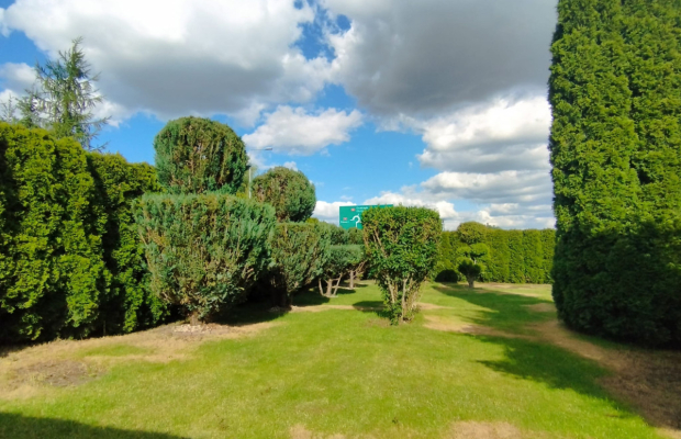 Duża działka 2500 mkw, dom z zapleczem.