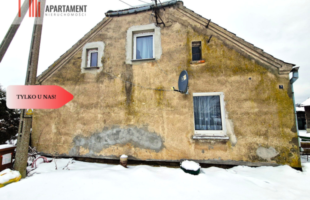 Siedlisko w Odrach z działką 12800 m2