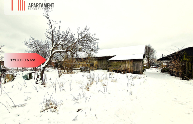 Siedlisko w Odrach z działką 12800 m2