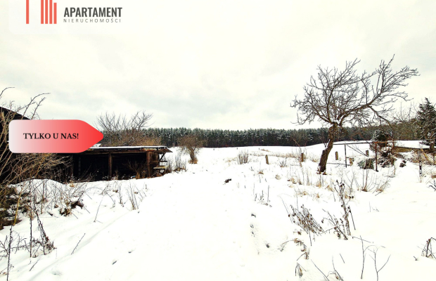 Siedlisko w Odrach z działką 12800 m2