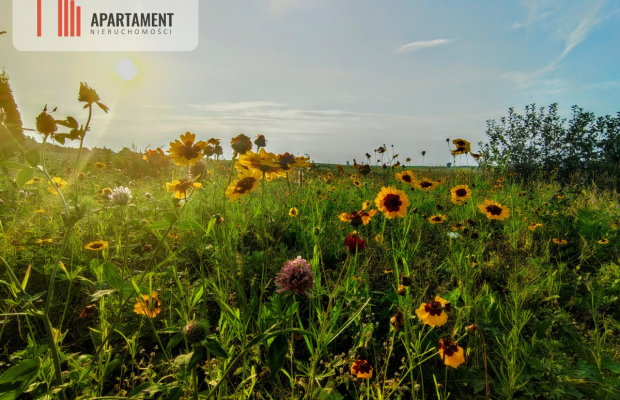 Leśna chata! Jedyny, niepowtarzalny dom z duszą!