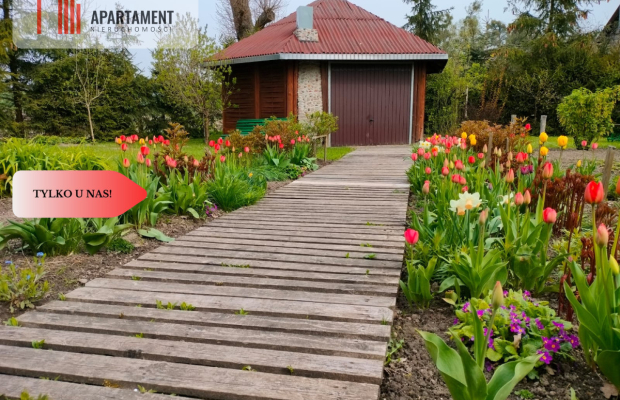 Tylko u nas! Zamieszkaj z historią !