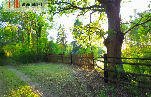 Magiczne siedlisko otulone lasem Borów Tucholskich