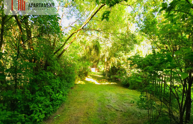 Magiczne siedlisko otulone lasem Borów Tucholskich