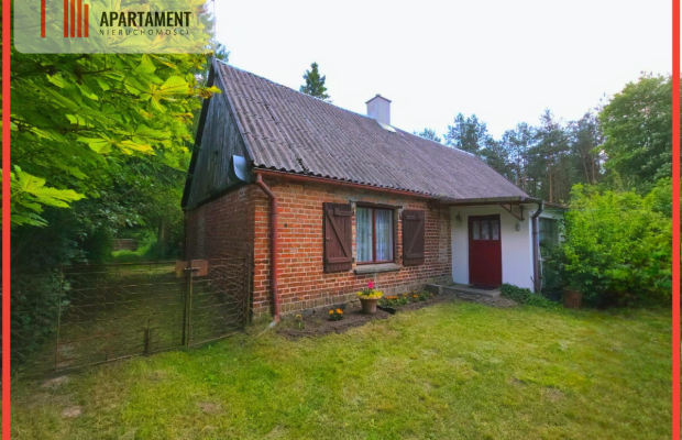 Magiczne siedlisko otulone lasem Borów Tucholskich