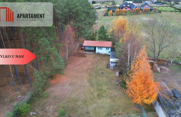 Tylko u nas! Domek, las, jezioro, spokój i cisza