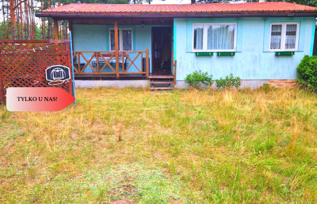 Tylko u nas! Domek, las, jezioro, spokój i cisza