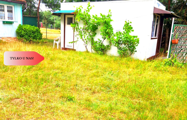 Tylko u nas! Domek, las, jezioro, spokój i cisza