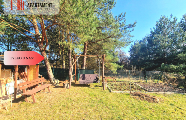 Dom całoroczny! Jezioro! Las! Bory Tucholskie!