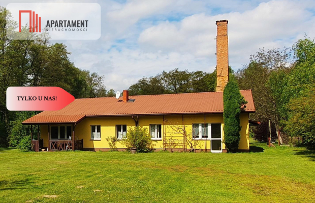 Dom z potencjałem na dużej działce!