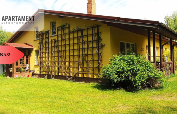 Dom z potencjałem na dużej działce!