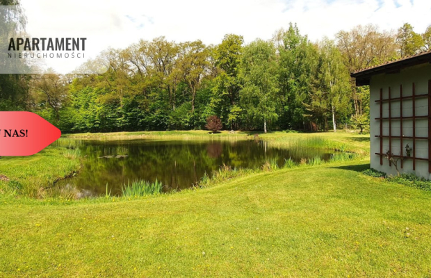 Dom z potencjałem na dużej działce!