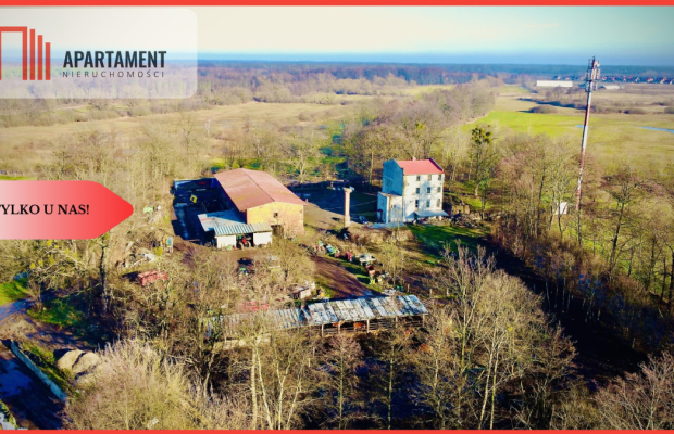 Dom, 3 mieszkania, 5 ha gruntów! Gmina Czernica