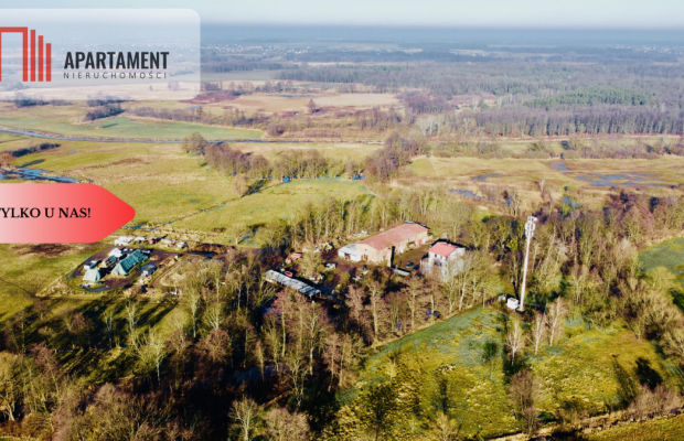 Dom, 3 mieszkania, 5 ha gruntów! Gmina Czernica