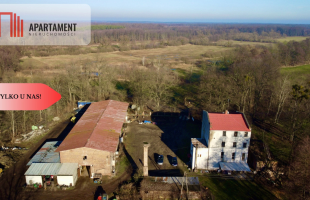 Dom, 3 mieszkania, 5 ha gruntów! Gmina Czernica