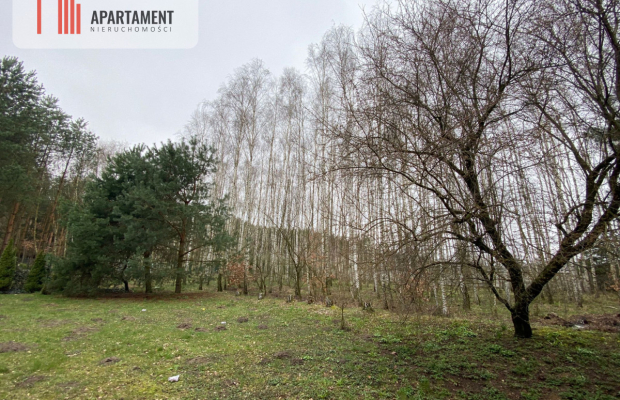 Piękna Rezydencja dostępna od ręki!